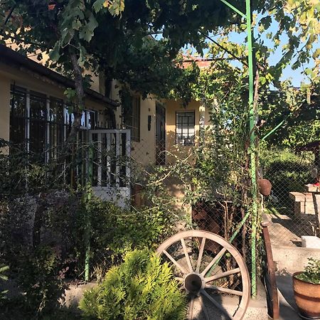 Guesthouse Planinsko Gnezdo Tŭzha Dış mekan fotoğraf