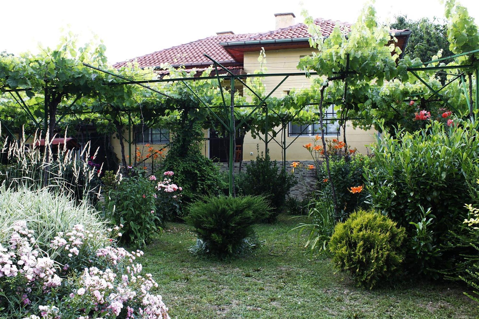 Guesthouse Planinsko Gnezdo Tŭzha Dış mekan fotoğraf