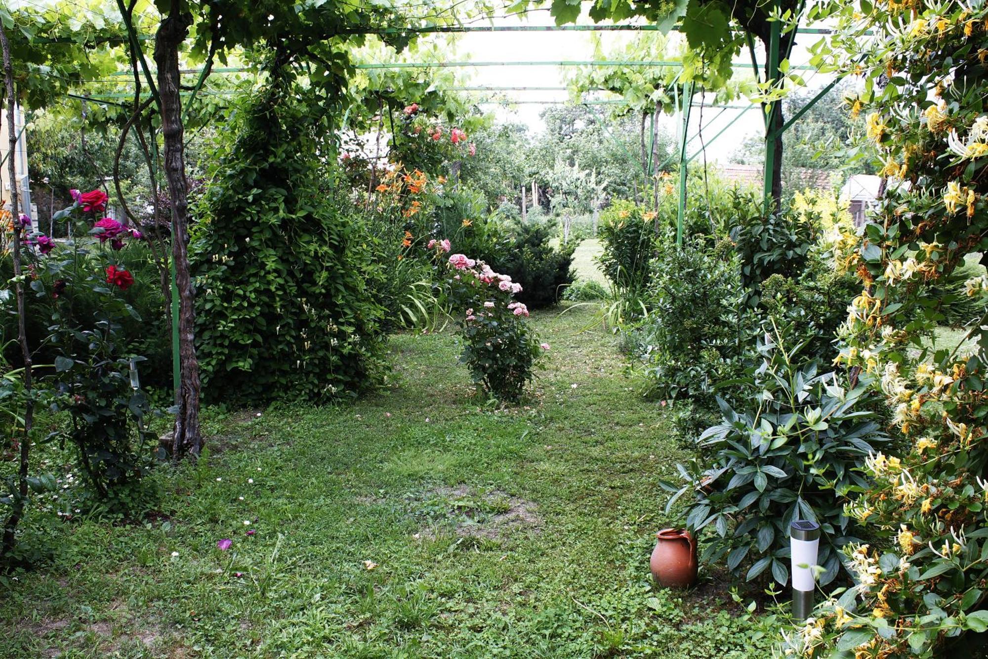 Guesthouse Planinsko Gnezdo Tŭzha Dış mekan fotoğraf