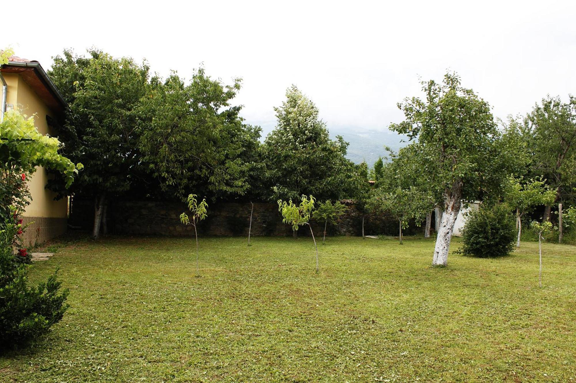 Guesthouse Planinsko Gnezdo Tŭzha Dış mekan fotoğraf
