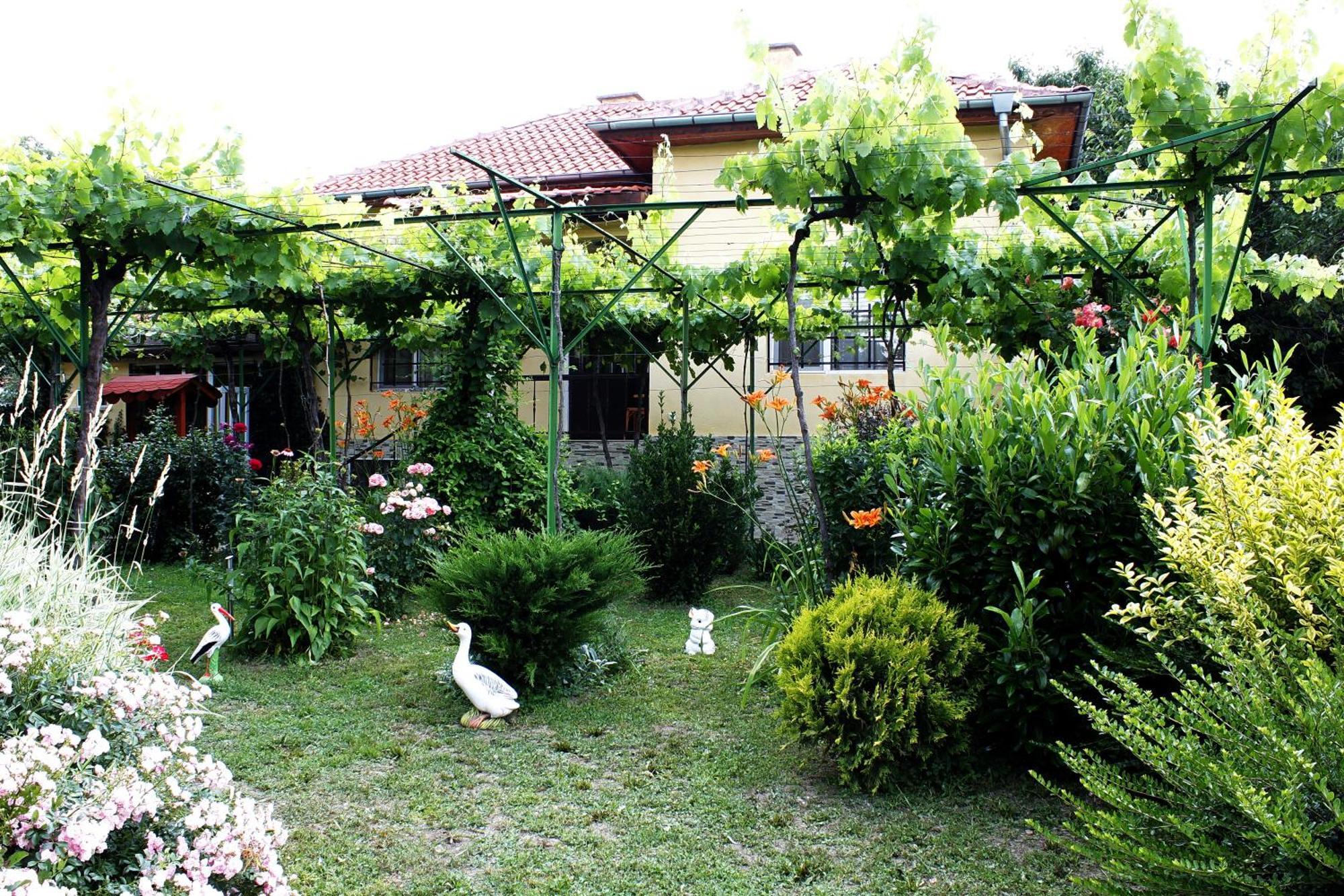 Guesthouse Planinsko Gnezdo Tŭzha Dış mekan fotoğraf