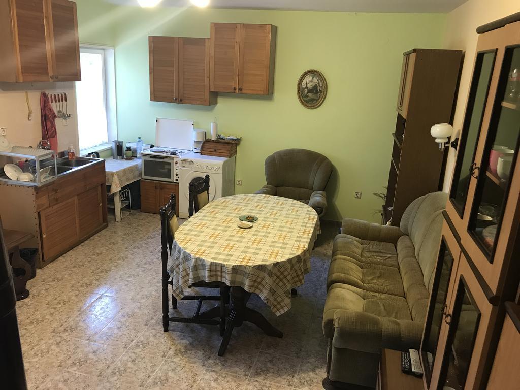 Guesthouse Planinsko Gnezdo Tŭzha Dış mekan fotoğraf