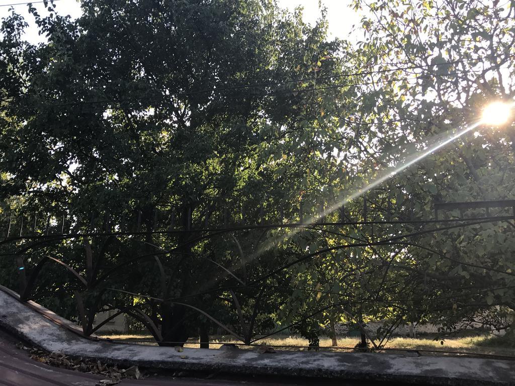 Guesthouse Planinsko Gnezdo Tŭzha Dış mekan fotoğraf