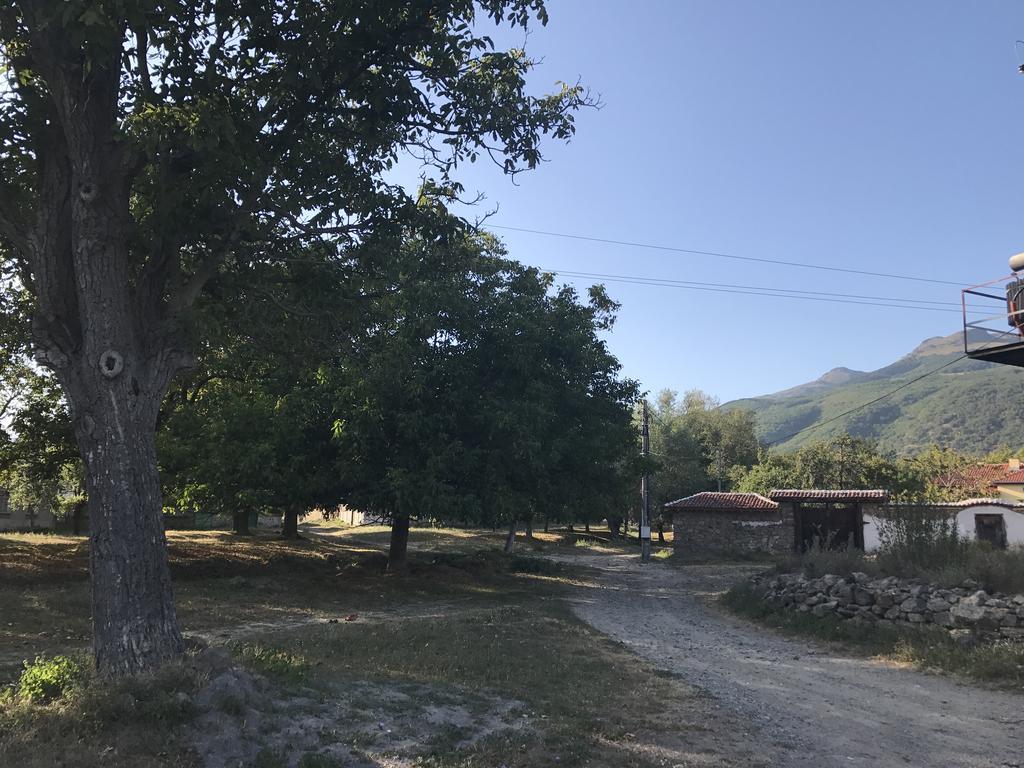 Guesthouse Planinsko Gnezdo Tŭzha Dış mekan fotoğraf