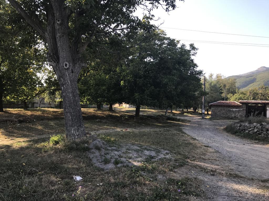 Guesthouse Planinsko Gnezdo Tŭzha Dış mekan fotoğraf