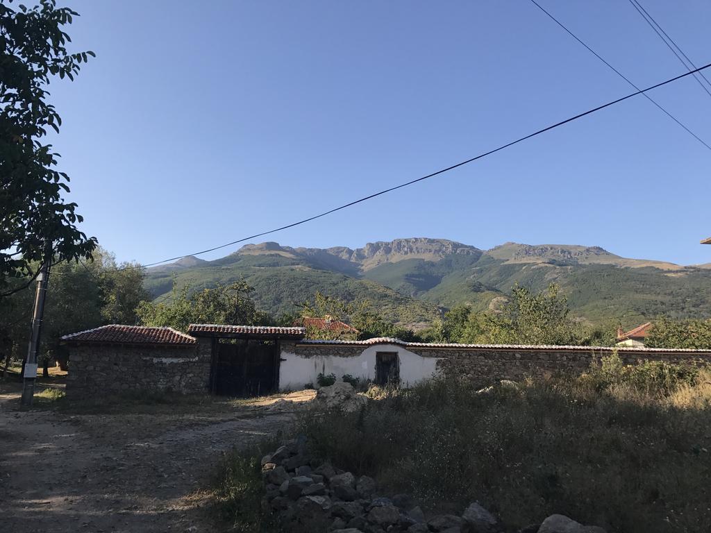Guesthouse Planinsko Gnezdo Tŭzha Dış mekan fotoğraf