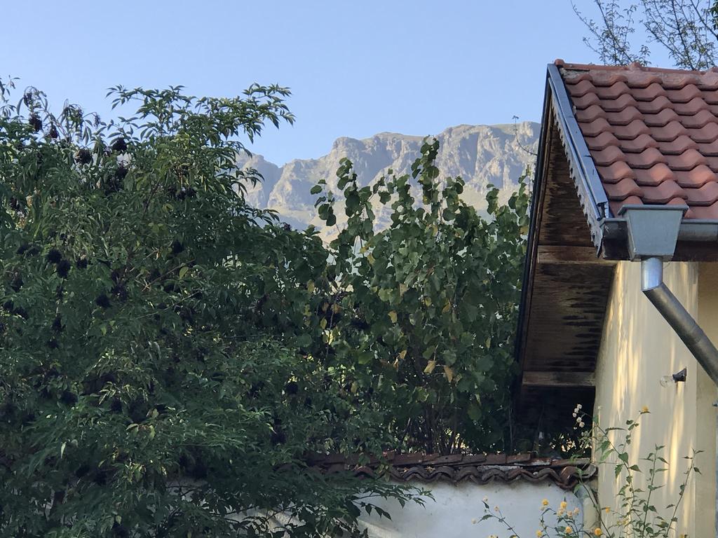Guesthouse Planinsko Gnezdo Tŭzha Dış mekan fotoğraf