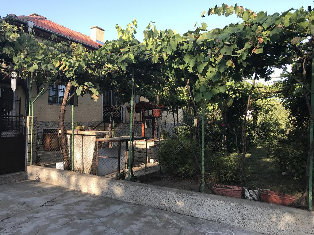 Guesthouse Planinsko Gnezdo Tŭzha Dış mekan fotoğraf