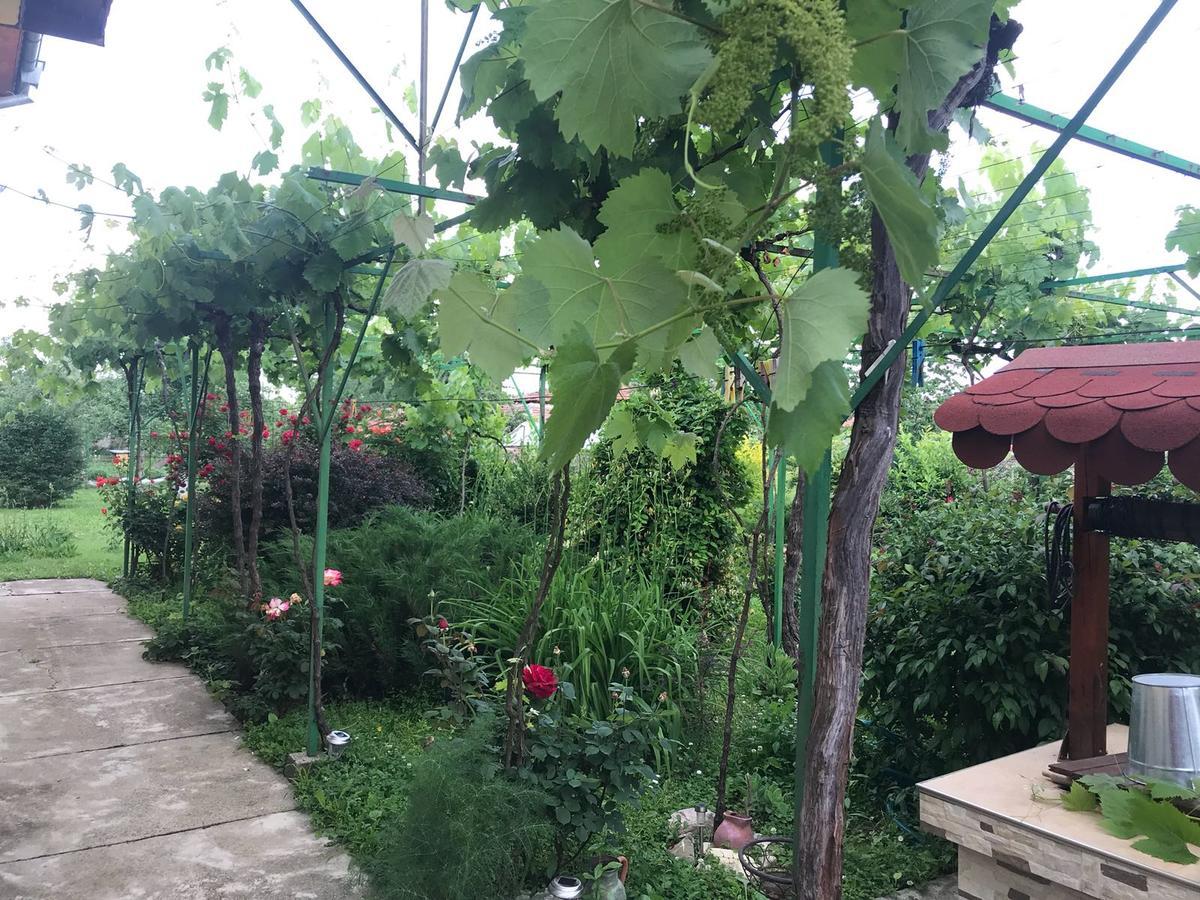Guesthouse Planinsko Gnezdo Tŭzha Dış mekan fotoğraf