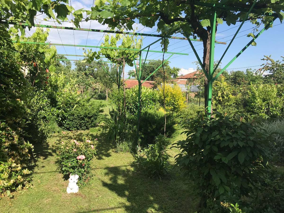 Guesthouse Planinsko Gnezdo Tŭzha Dış mekan fotoğraf
