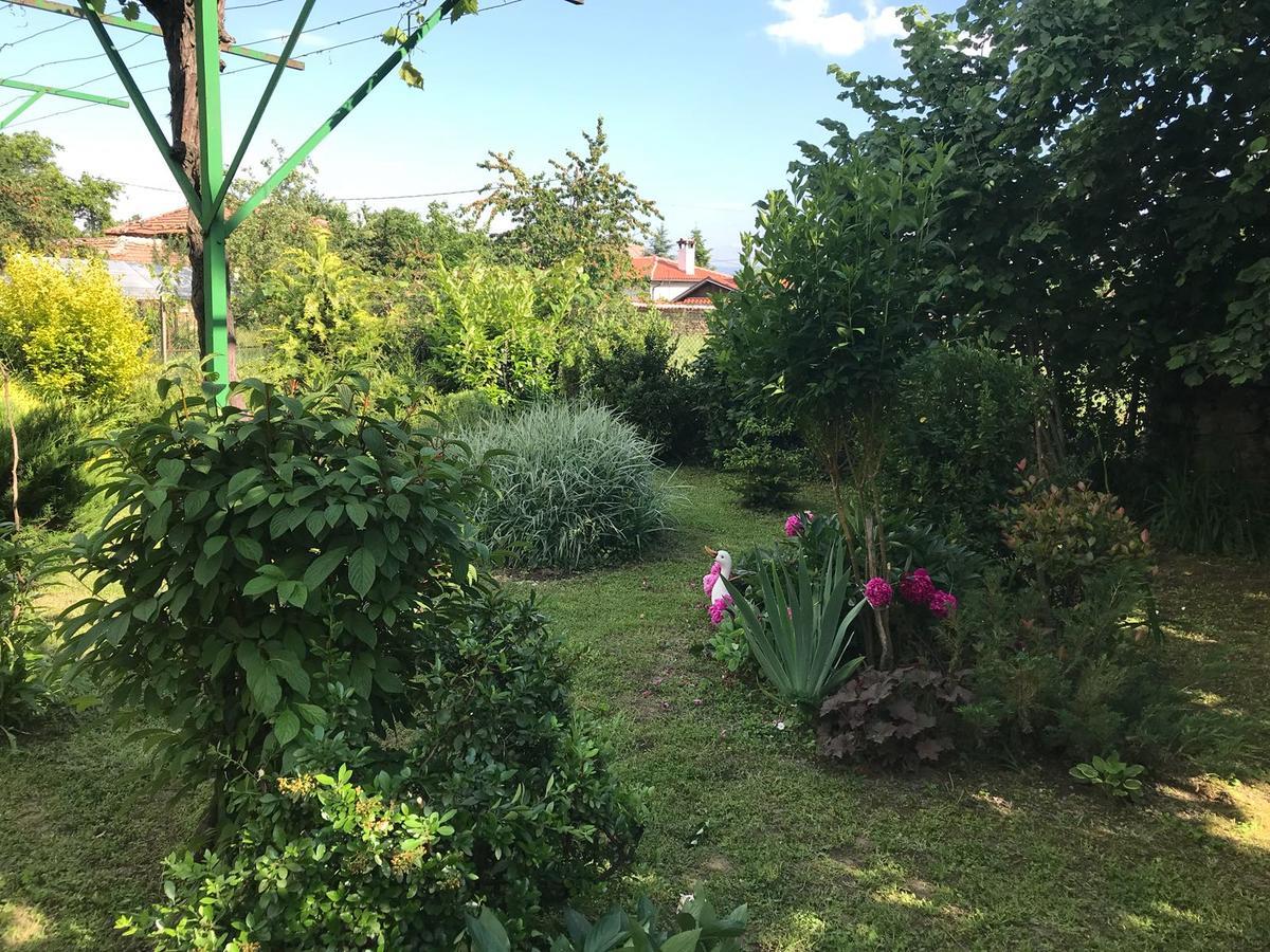 Guesthouse Planinsko Gnezdo Tŭzha Dış mekan fotoğraf